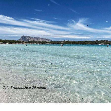 Appartamento Corallo With Private Garden Olbia Buitenkant foto